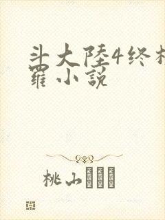 斗大陆4终极斗罗小说