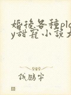 婚后各种play甜宠小说大结局