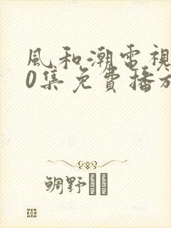 风和潮电视剧40集免费播放