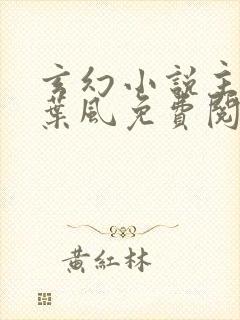 玄幻小说主人公叶风免费阅读