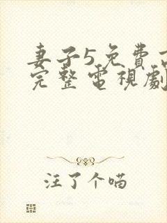 妻子5免费高清完整电视剧