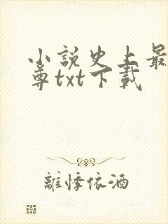 小说史上最狂至尊txt下载