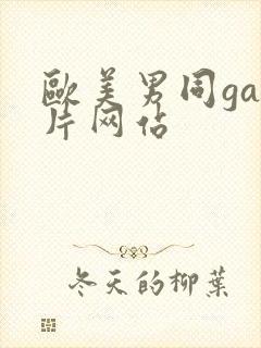 欧美男同gay片网站