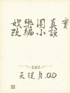 娱乐圈真实事件改编小说