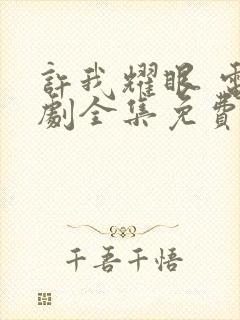 许我耀眼 电视剧全集免费观看封面
