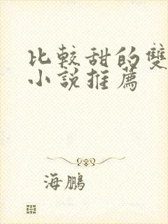 比较甜的双男主小说推荐封面