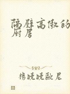 隔壁高傲的人妻厨房