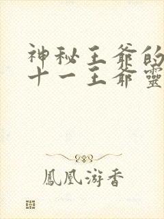 神秘王爷的爱妃十一王爷灵曦