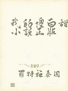 我的傻白甜老婆小说正版
