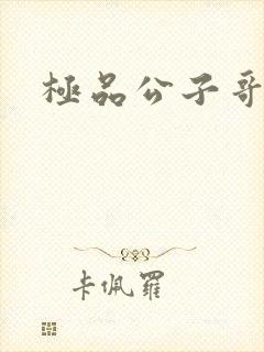 极品公子哥