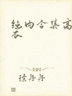 纯肉合集高h淡衣封面