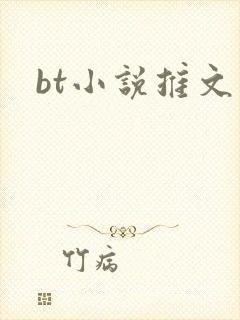 bt小说推文封面