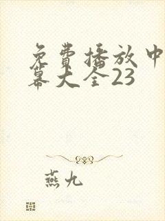 免费播放中文字幕大全23