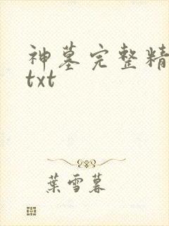 神墓完整精校版txt