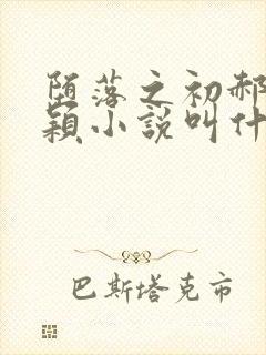堕落之初郝叔白颖小说叫什么名字封面