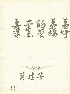 妻子的弟弟的老婆怎么称呼封面