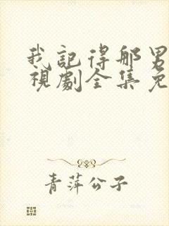 我记得那男孩电视剧全集免费观看