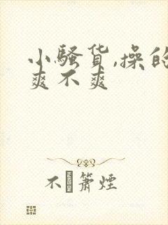 小骚货,操的你爽不爽封面