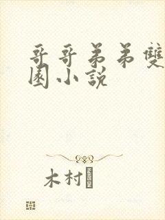哥哥弟弟双性校园小说