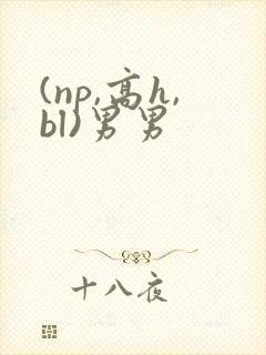 (np,高h,bl)男男