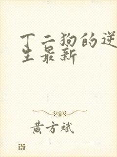 丁二狗的逆袭人生最新