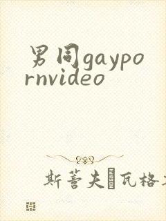 男同gaypornvideo