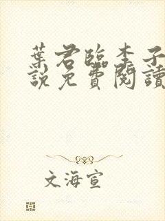 叶君临李子柒小说免费阅读