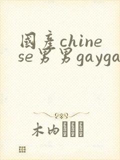 国产chinese男男gaygay 网站