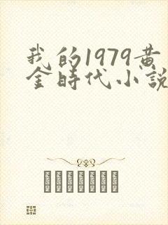 我的1979黄金时代小说无错版封面