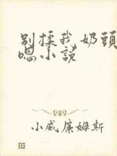 别揉我奶头啊嗯嗯小说