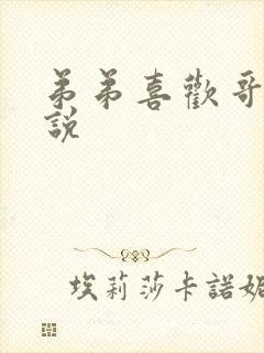 弟弟喜欢哥哥小说