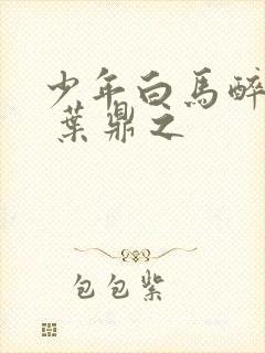 少年白马醉春风 叶鼎之封面