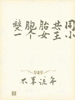 双胞胎共同享有一个女主小说