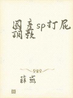 国产sp打屁股调教
