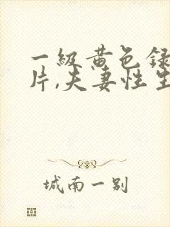 一级黄色录像影片,夫妻性生活影片