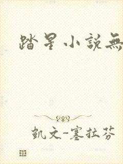 踏星小说无弹窗封面
