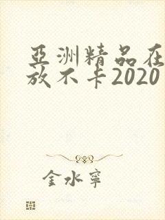 亚洲精品在线播放不卡2020