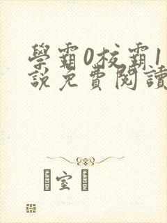 学霸0校霸1小说免费阅读封面