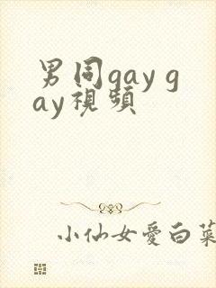 男同gay gay视频