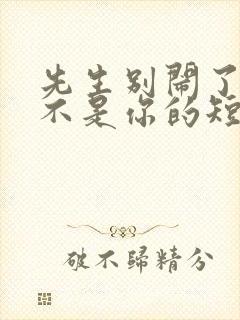 先生别闹了新娘不是你的短剧全集免费