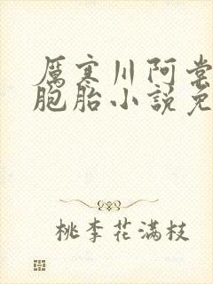 厉寒川阿棠的双胞胎小说免费阅读