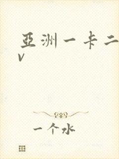 亚洲一卡二卡av