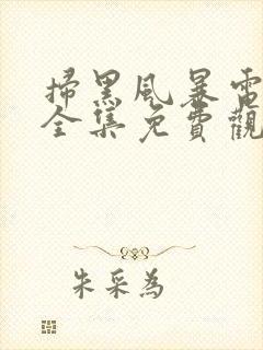 扫黑风暴电视剧全集免费观看完整版