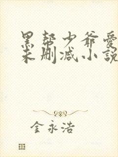 黑帮少爷爱上我未删减小说