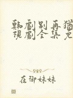 韩剧别再犹豫电视剧全集免费观看封面