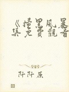 《扫黑风暴》全集免费观看封面