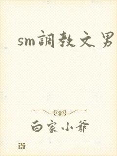 sm调教文男女
