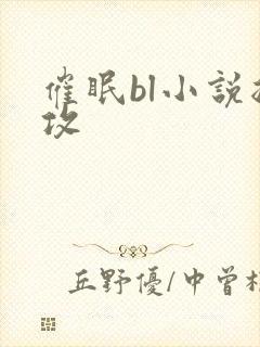 催眠bl小说总攻