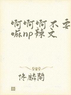 啊啊啊不要不要嘛np辣文