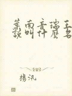 叶南音瑞王的小说叫什么名字